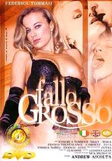 DVD Cover Fallo Grosso