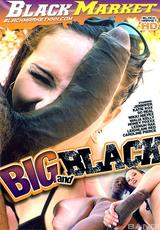 DVD Cover Big And Black