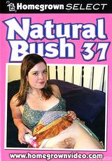 DVD Cover Natural Bush 37