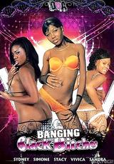 DVD Cover Banging Black Bitches
