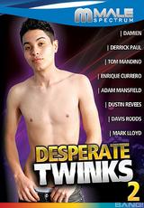 DVD Cover Desperate Twinks 2
