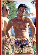 DVD Cover Burning Desire