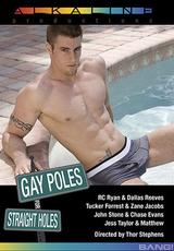 DVD Cover Gay Poles For Straight Holes 1