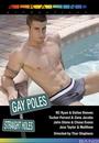 gay poles for straight holes 1