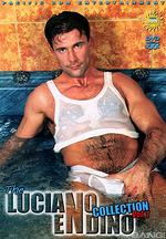 the luciano endino collection