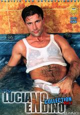 DVD Cover The Luciano Endino Collection