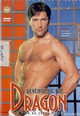 DVD Cover Revenge Of The Dragon 1