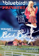Watch full movie - Black Beauty Vol 1