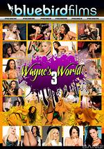 wayne's world vol 3