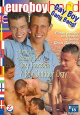 DVD Cover Euroboy International