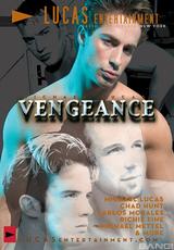 DVD Cover Vengeance