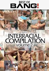 DVD Cover Best Of Interracial Compilation Vol 2