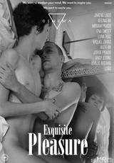 DVD Cover Exquisite Pleasure