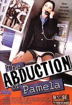 the seduction of pamela
