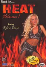 DVD Cover Heat #1