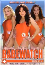 DVD Cover Babewatch 16