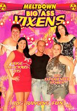 DVD Cover Big Ass Vixens
