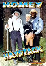 DVD Cover Homey In The Haystack