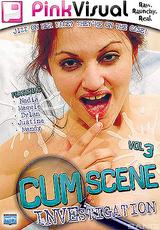 DVD Cover Cum Scene Investigation 3