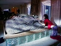 Watch Now - Karina starts the day with a nice blowjob for her man