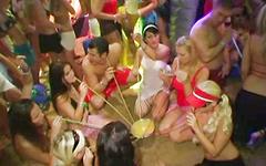 Regarde maintenant - Lots of blonde and brunette hot blowjobs and group sex on the beach