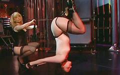 Claire Adams is hanging upside down while Nina Hartley spanks her and more join background