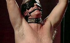  Martin The Slave Loves Being Sexually Tormented - movie 6 - 4