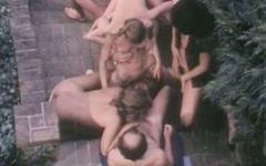 Vintage sex scene of an outdoor group orgy with hairy pussies and creampies - movie 7 - 4