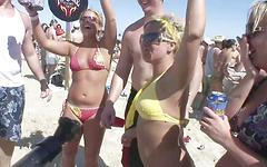 Watch Now - Bambi has fun at the spring break beach party