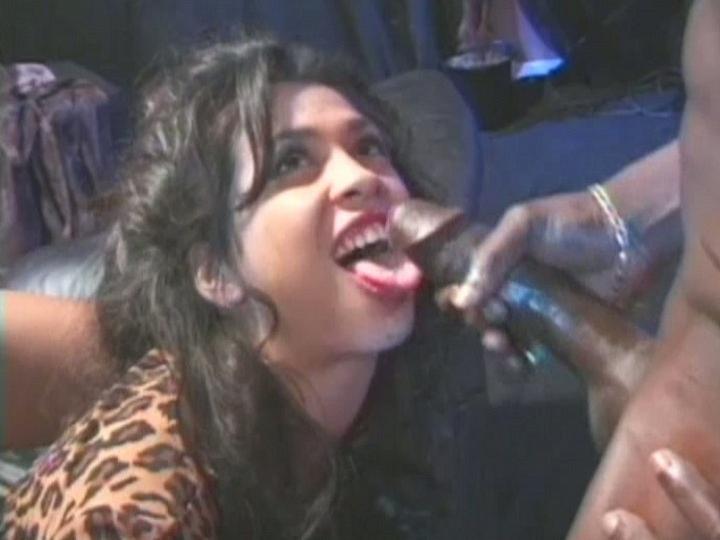 Chocolate Damsels Drinking Cumshots