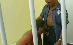 Masculine muscle bears suck and fuck in a jail cell - movie 2 - 2