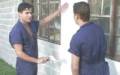Latino painters get horny and fuck outside on the job - movie 3 - 2