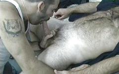 Hairy bear cops have a threesome with an inmate join background