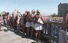 Sorority sisters show their titties on the beach join background