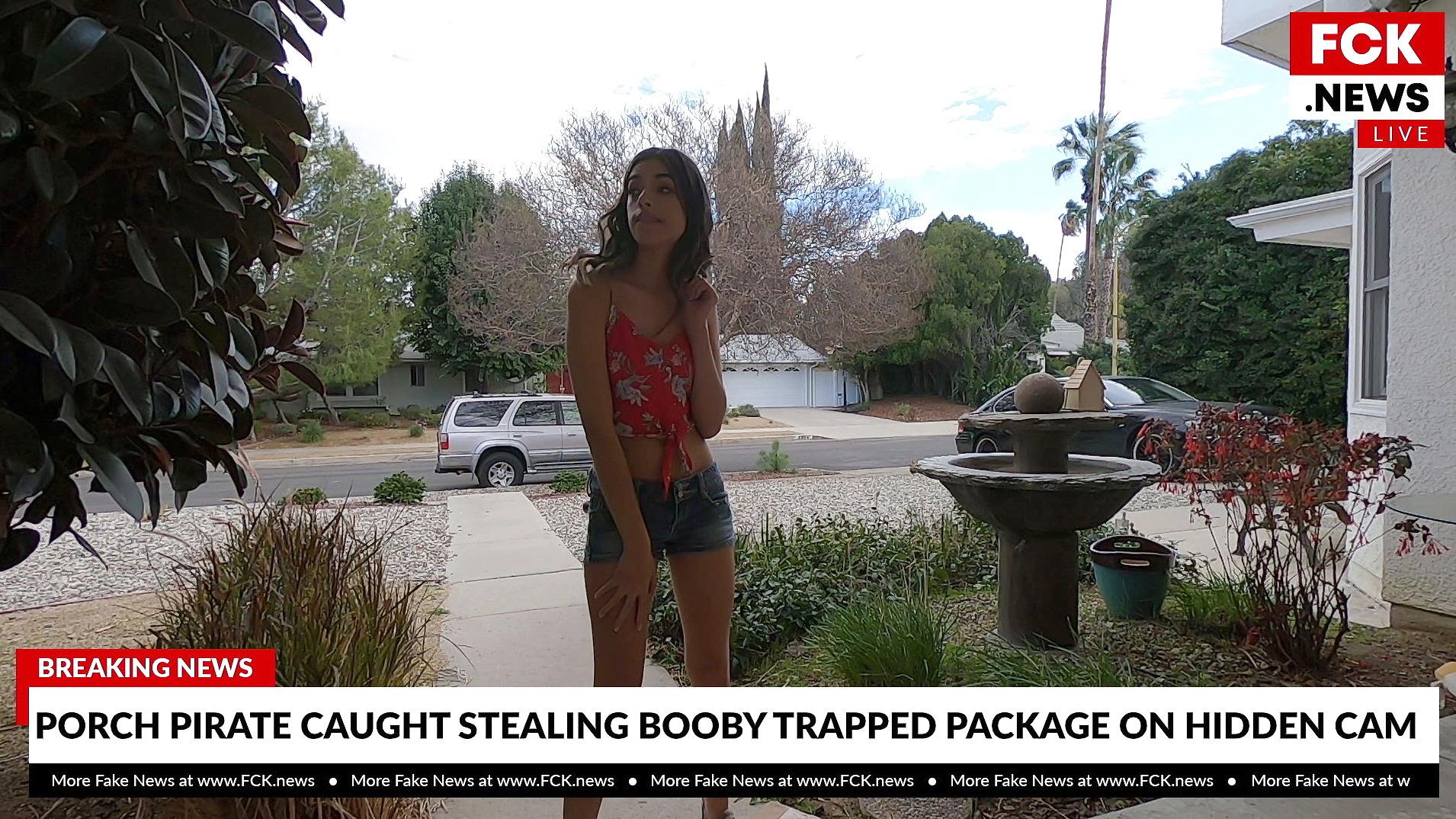 Harmony Wonder is a porch pirate that gets caught red handed! bang image image