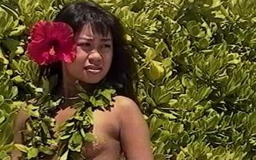 Downloaden Hawaii five-ho - scene 4